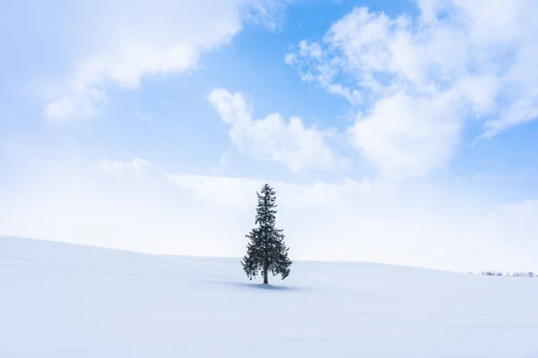 Beau paysage nature en plein air avec seul arbre christmass dans — Photo