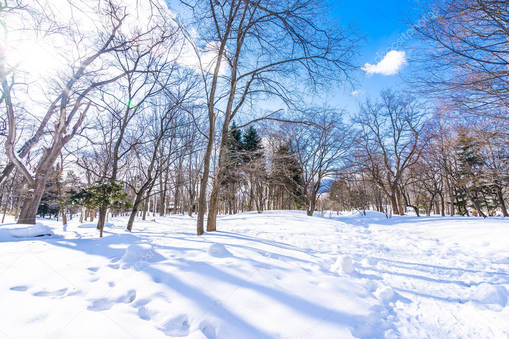 Beautiful landscape with tree in snow winter season