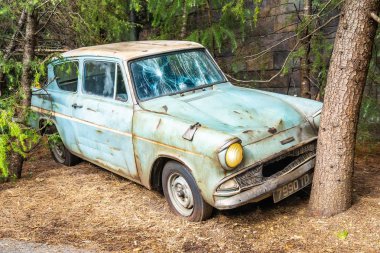 Osaka, Japonya - 12 Kasım 2018: güzel eğlence cazibe