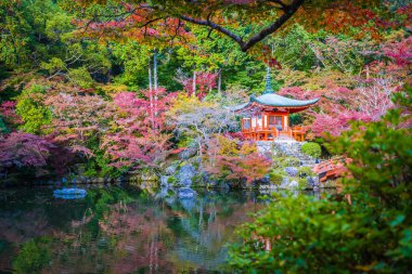 Güzel Daigoji Tapınağı ile renkli ağaç ve yaprak sonbahar s