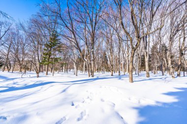Kar kış sezonu ağacında ile güzel manzara