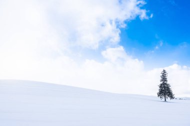 Güzel açık doğa manzara ile yalnız Sunni Noel ağacında