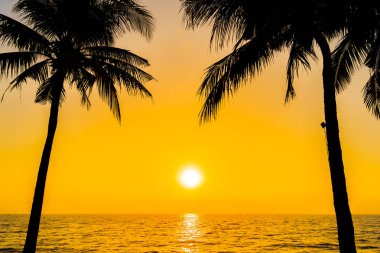 Güzel siluet Hindistan cevizi hurma ağacı gökyüzü neary deniz okyanus üzerinde olması