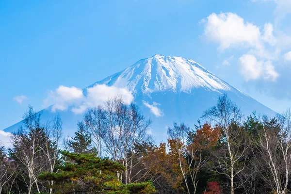 Beau paysage de fuji de montagne avec arbre à feuilles d'érable autour — Photo
