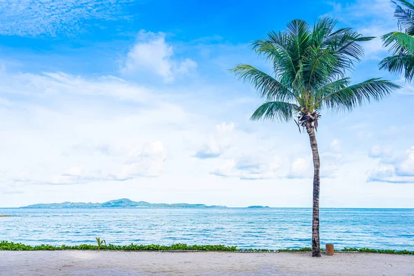 코코넛 야자수 와 해변 바다 바다의 아름다운 풍경 과 — 스톡 사진