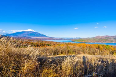 Yamanakako ya da yamanaka göl güzel fuji Dağı