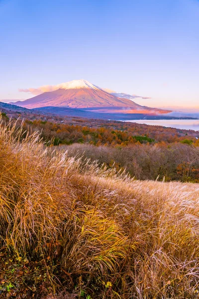 Όμορφο βουνό Φούτζι στην λίμνη yamanakako ή yamanaka — Φωτογραφία Αρχείου