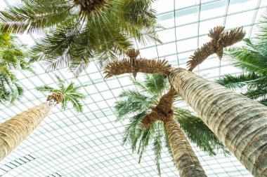 Çiçek kubbe Bahçesi ve greenhous bina güzel mimari