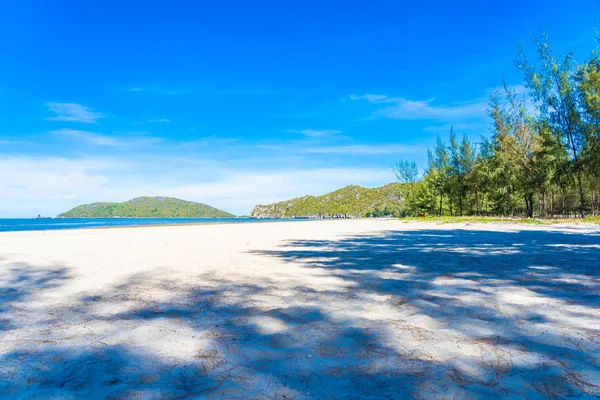 Deniz Okyanusu ve bea güzel açık tropikal doğa manzara