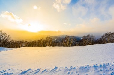 Dağın etrafından kar kış deniz ağacında ile güzel manzara