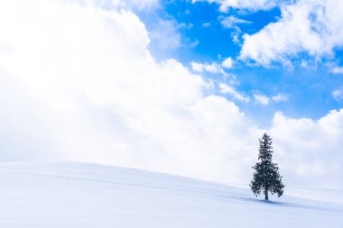 Güzel açık doğa manzara ile yalnız Sunni Noel ağacında