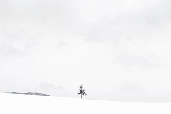 Vackra utomhus natur landskap med julgran i vinter — Stockfoto