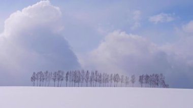 güzel kış manzara manzara manzara görüntüleri