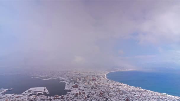 Imágenes Aéreas Escénicas Hermosa Nieve Cubierta Hokkaido Japón — Vídeos de Stock