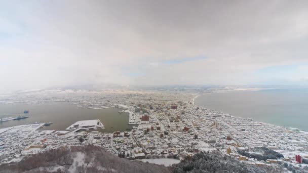 Malownicze Zdjęcia Lotnicze Pięknego Pokrytego Śniegiem Hokkaido Japonia — Wideo stockowe
