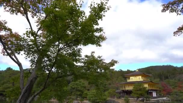 Мальовничі Кадри Прекрасної Традиційної Японської Пагоди — стокове відео