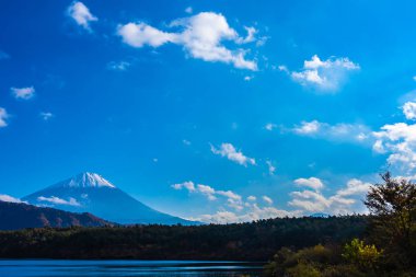 Dağ fuji ile akçaağaç yaprağı ağacın etrafında güzel manzara