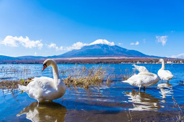 Όμορφο τοπίο του βουνού fuji γύρω από τη λίμνη yamanakako — Φωτογραφία Αρχείου