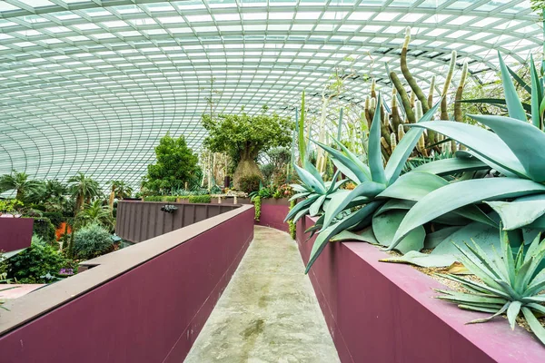 Bela arquitetura edifício flor jardim cúpula e greenhous — Fotografia de Stock