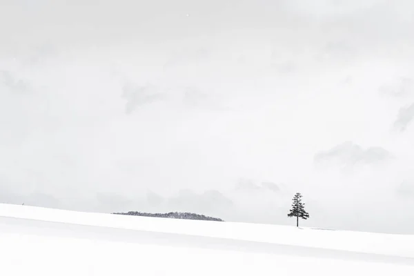 冬のクリスマス ツリーのある美しい屋外の自然風景 — ストック写真