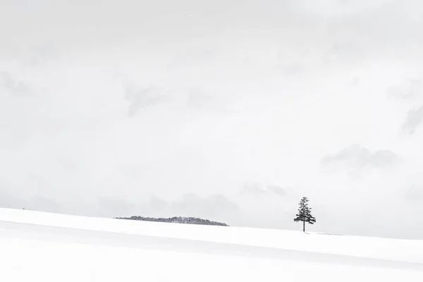 Vackra utomhus natur landskap med julgran i vinter — Stockfoto