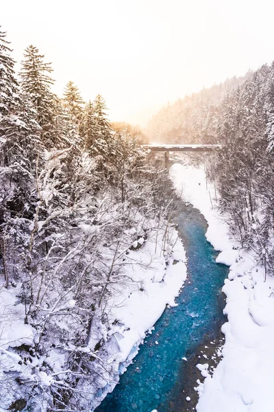 美丽的户外自然景观与雪利希的瀑布和 — 图库照片