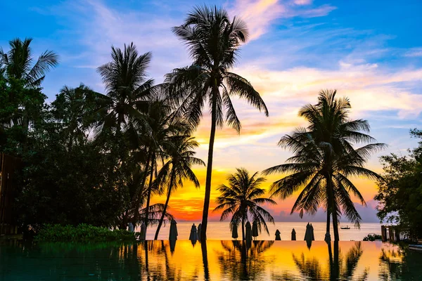 Yüzme havuzu güzel açık tropikal doğa manzara 