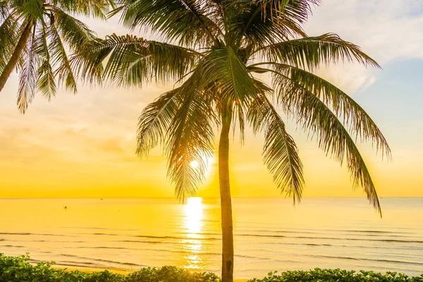 COC ile deniz Okyanusu plajının güzel açık tropikal manzara