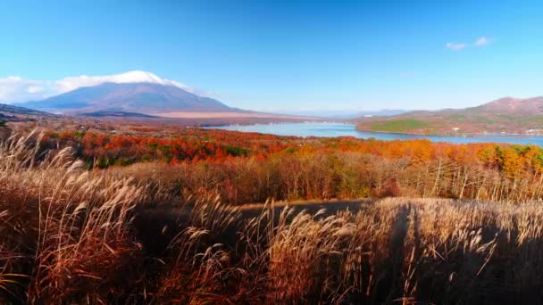 Imágenes Escénicas Hermosa Montaña Fuji Japón — Vídeo de stock