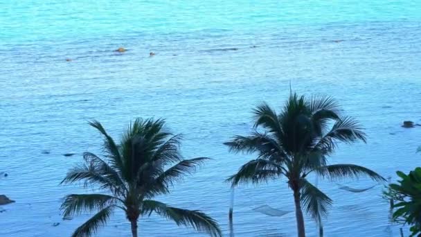 Imagens Tranquilas Belo Mar Ondulado — Vídeo de Stock