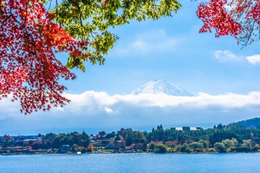 Dağ fuji ile akçaağaç yaprağı ağacın etrafında güzel manzara