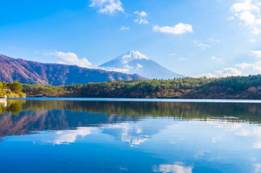 Dağ fuji ile akçaağaç yaprağı ağacın etrafında güzel manzara