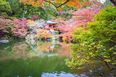 Güzel Daigoji Tapınağı ile renkli ağaç ve yaprak sonbahar s