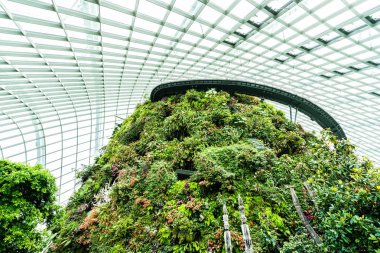 Çiçek kubbe Bahçesi ve greenhous bina güzel mimari