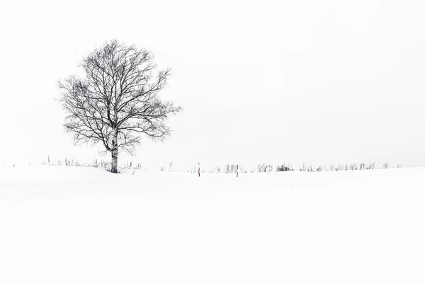 Hermoso paisaje con árbol solitario en la temporada de invierno de nieve —  Fotos de Stock