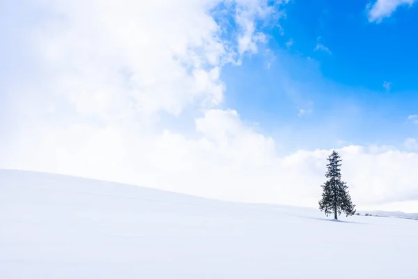 Hermoso paisaje de naturaleza al aire libre con solo árbol de Navidad en — Foto de Stock