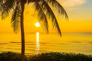 COC ile deniz Okyanusu plajının güzel açık tropikal manzara