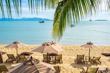 Hindistan cevizi palmiye ağacı ile güzel tropikal plaj deniz ve okyanus bir