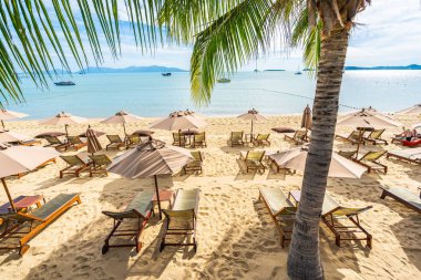 Hindistan cevizi palmiye ağacı ile güzel tropikal plaj deniz ve okyanus bir