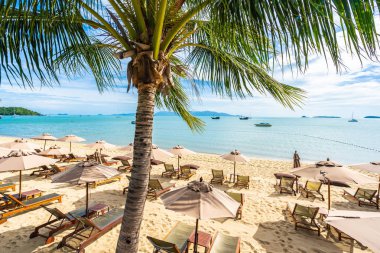 Hindistan cevizi palmiye ağacı ile güzel tropikal plaj deniz ve okyanus bir