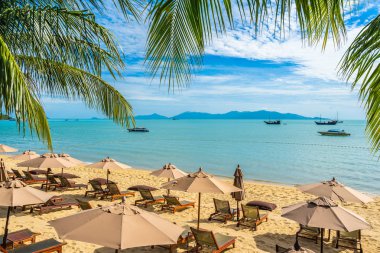 Hindistan cevizi palmiye ağacı ile güzel tropikal plaj deniz ve okyanus bir