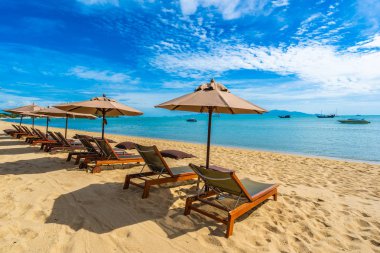 Hindistan cevizi palmiye ağacı ile güzel tropikal plaj deniz ve okyanus bir