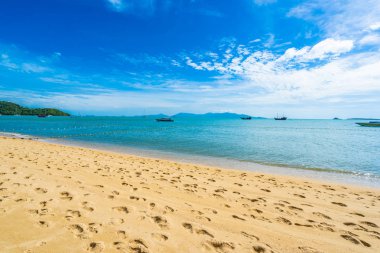 Hindistan cevizi palmiye ağacı ile güzel tropikal plaj deniz ve okyanus bir