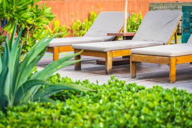 Hindistan cevizi palmiye ağacı ile güzel tropikal plaj deniz ve okyanus bir