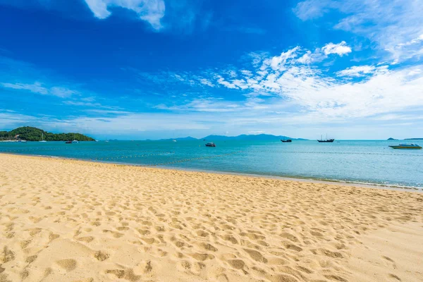 Beautiful tropical beach sea and ocean with coconut palm tree  a — Stock Photo, Image