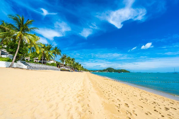 Nádherné tropické plážové moře s kokosovými palmami a — Stock fotografie