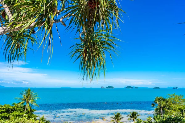 Nádherný tropický mořský oceán s kokosovým palmovým stromem na modrém nebi — Stock fotografie