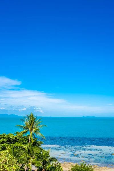 Bellissimo oceano tropicale con palma da cocco sul cielo blu — Foto Stock