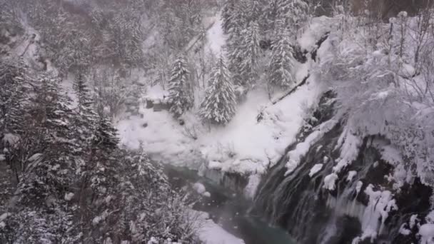 日本北海道美丽冬季风景的风景镜头 — 图库视频影像