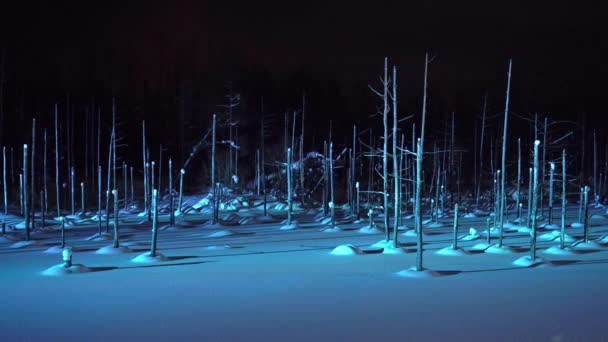 Riprese Panoramiche Bellissimo Paesaggio Invernale Notte Hokkaido Giappone — Video Stock